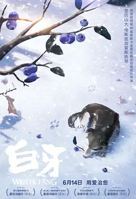 表兄弟