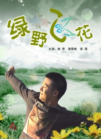 活动的艺人