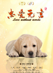 宅福利视频