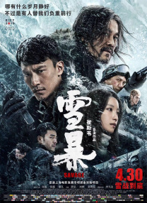 亚洲国产成a人v在线观看