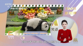 国产一区二区免费在线观看